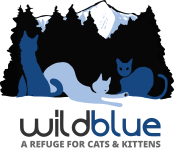 Wild Blue Cats