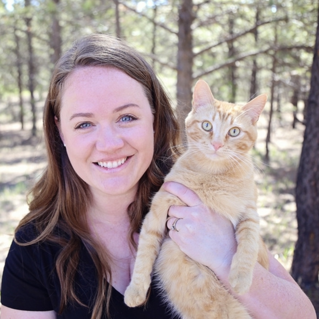 July Volunteer Of The Month Kat Wild Blue Cats By tabby, released 07 december 2018 1. month kat wild blue cats