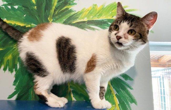 406508686_731158205705057_5446579845038930940_n