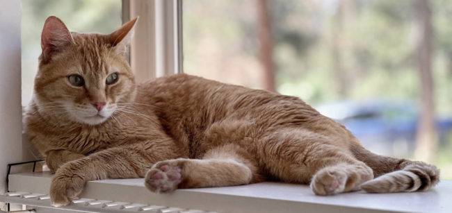 406609216_731167135704164_1580644378346689170_n