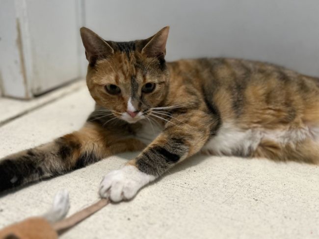 408530694_733461215474756_4561604744372963858_n