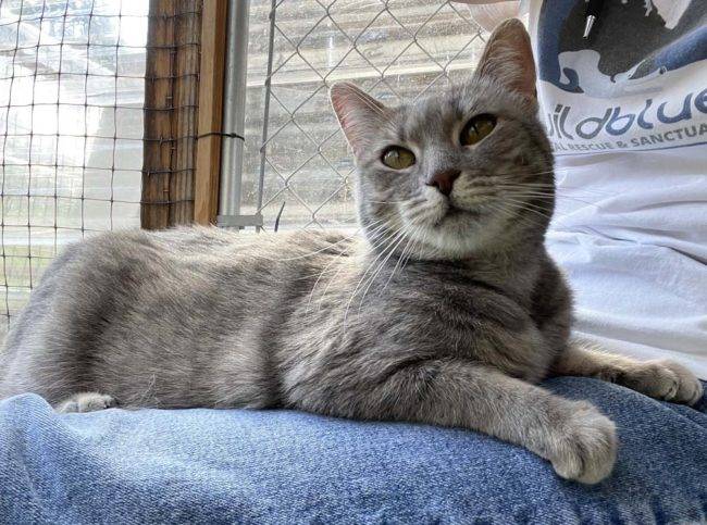 409179954_733467248807486_1838226877014959174_n