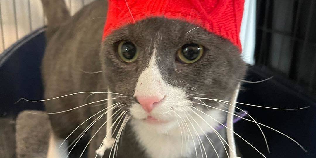 409187375_736274775193400_8688805869726979623_n