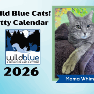 2026 Wild Blue Cats! Wall Calendar