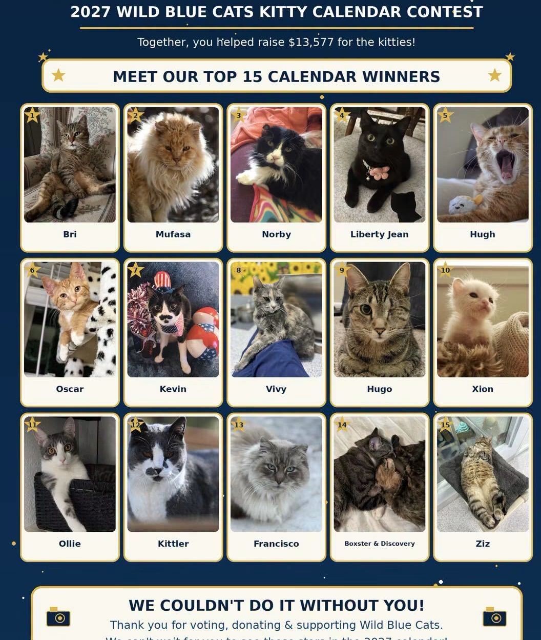 2027 Wild Blue Cats! Wall Calendar -Pre Order