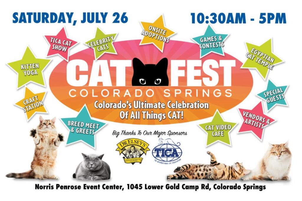 catfest